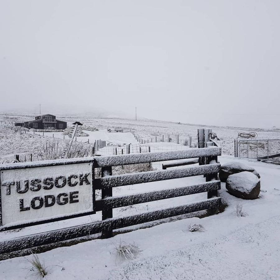 Tussock Lodge - Waipiata 외부 사진